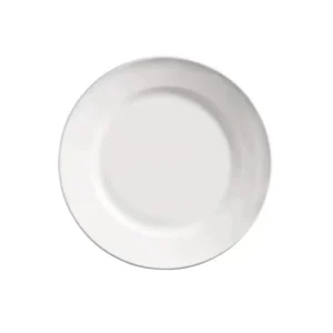 China plate 9-3/4